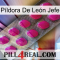 Píldora De León Jefe 09